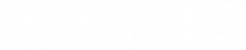 VSFysio Logo Teksti