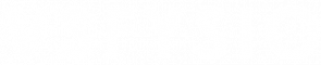 VSFysio Logo Teksti